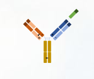 1779521435909128 omnimab-img4.png