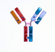 1779521456106987 omnimab-img3.png