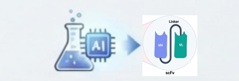1779521854702167 omnimab-scfv-2.png