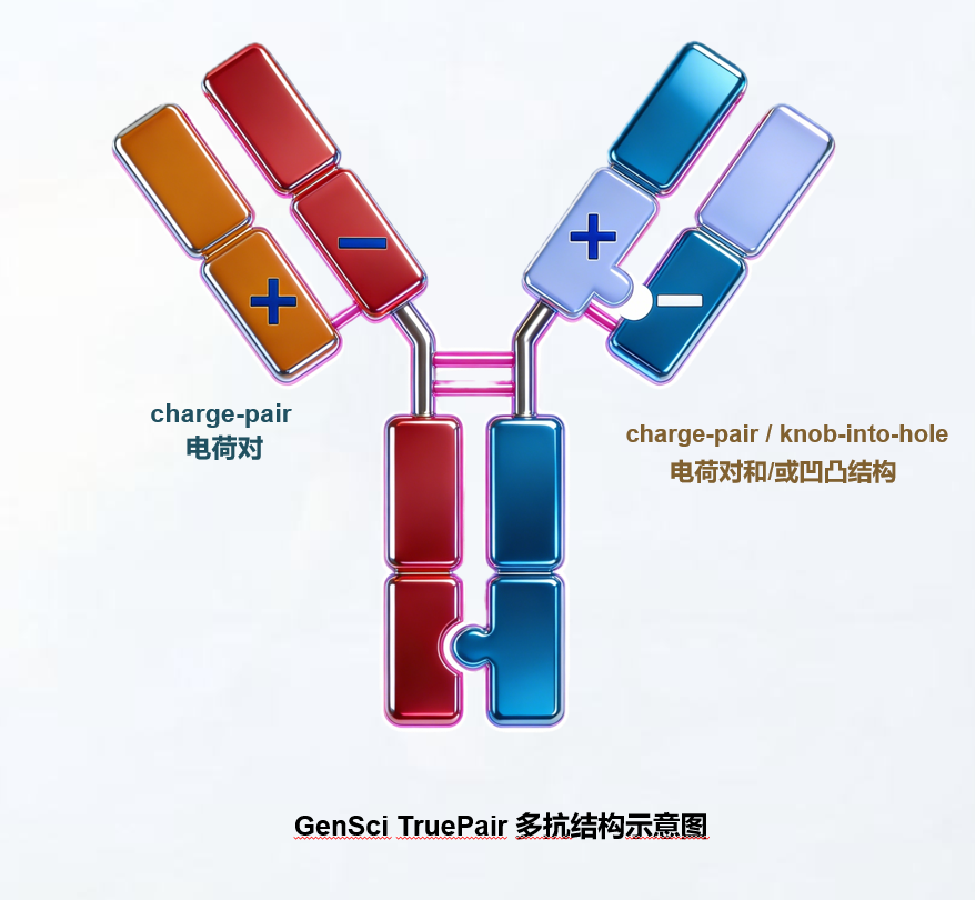 1779522684553812 omnimab-truepair.png